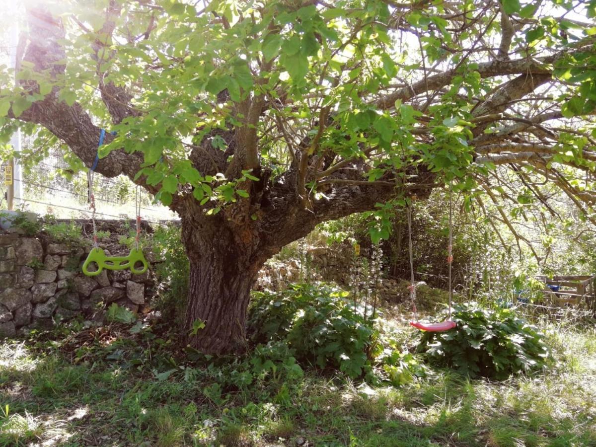 Bastide Provencale Les Muriers D'Engaspaty Seillans Eksteriør billede