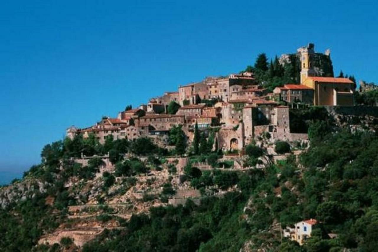 Bastide Provencale Les Muriers D'Engaspaty Seillans Eksteriør billede
